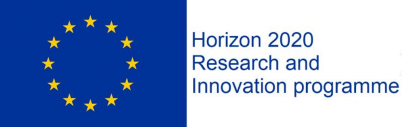 Horizon 2020 Research and Innovation programme